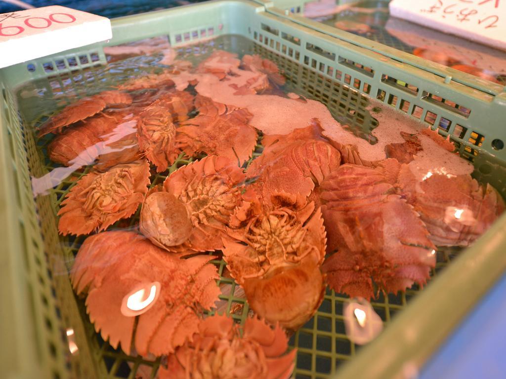 云仙市 蒸气家日式旅馆酒店 外观 照片